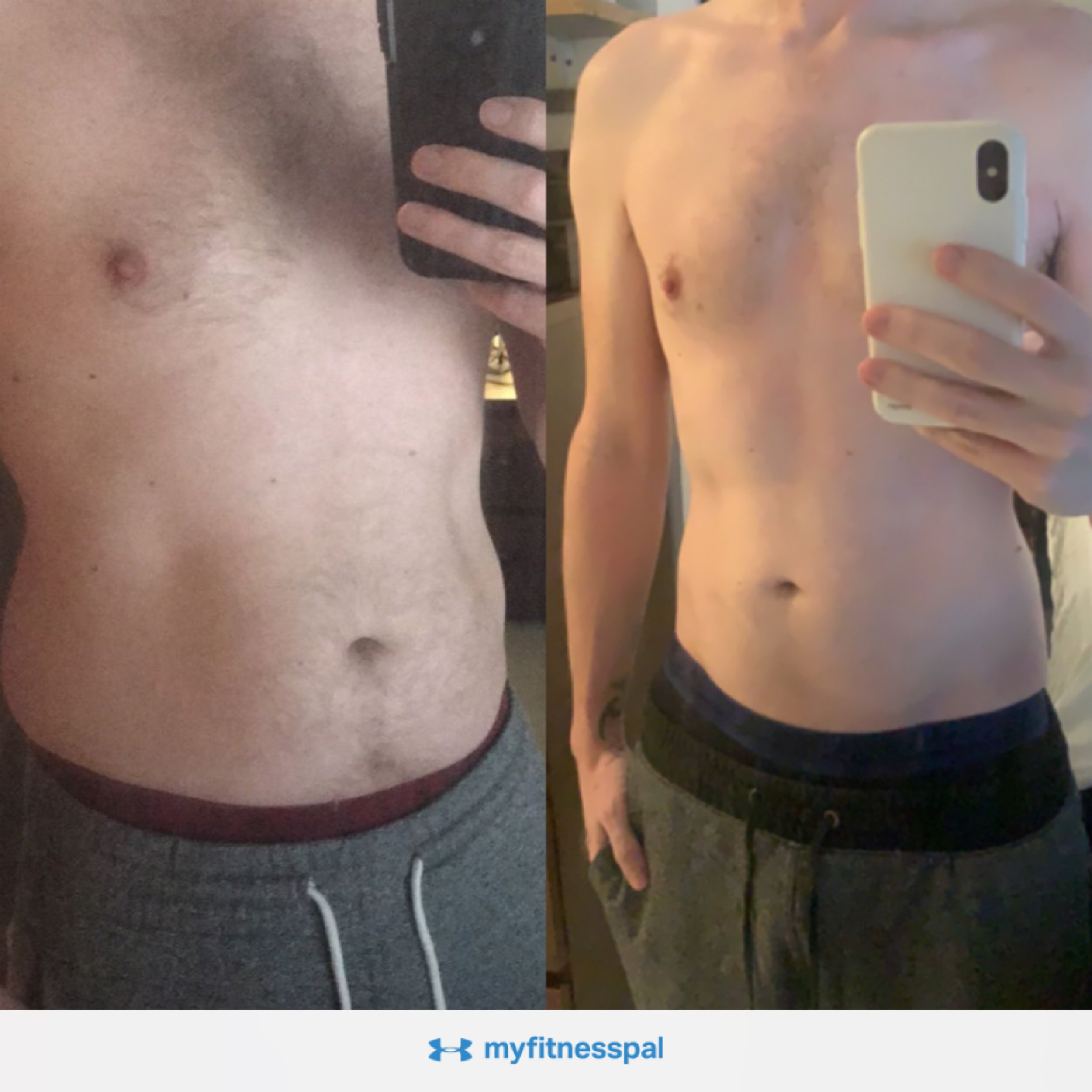 Six months on the Carnivore Diet Personal Update Meat Zero Carb Animal Based MyFitnessPal Flat Stomach Weight Loss Body Transformation Jay McLaughlin