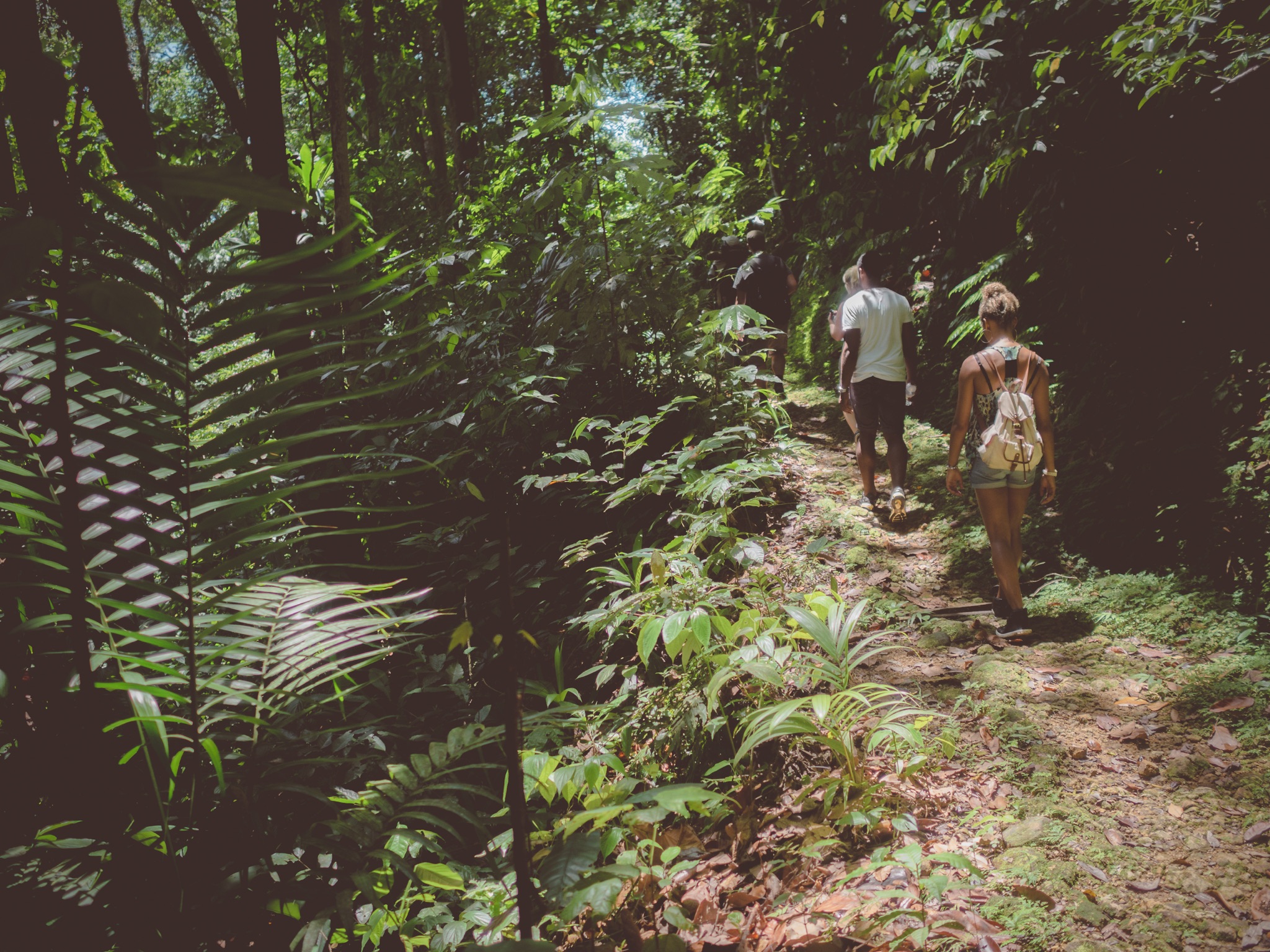 Choosing the Right Hiking Boots